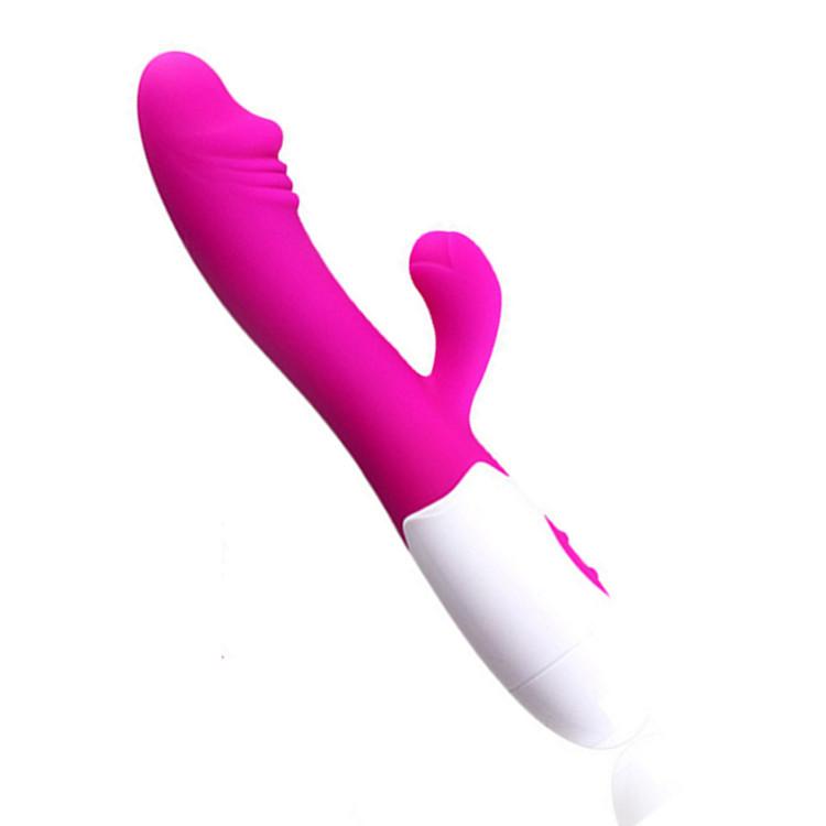 1 Stück Dildo-Vibrator aus Silikon für Frauen, multifunktionaler Dildo-Vibrator für G-Punkt und Klitoris, wiederaufladbar und sehr leise, Sexspielzeug für Frauen