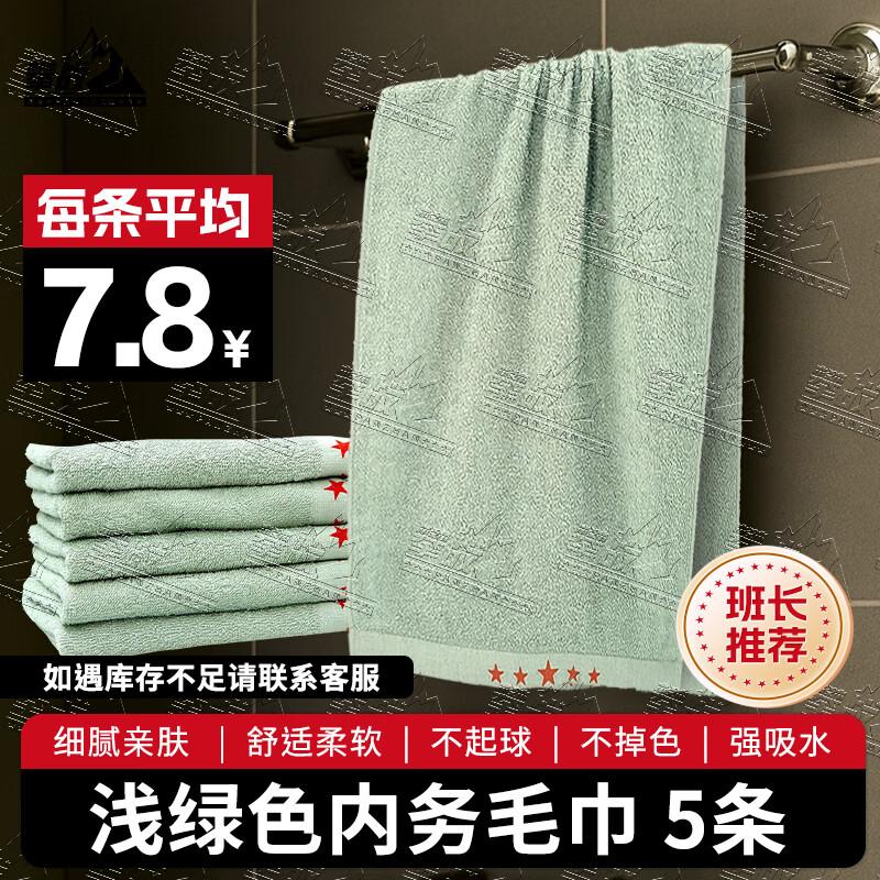 

Panzhan Soft Light Green Towel (85x35cm)