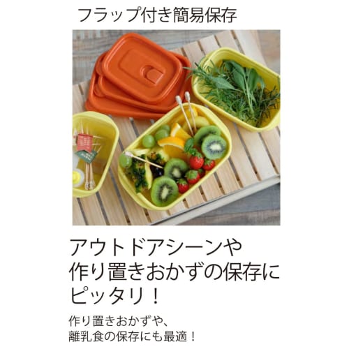 Iwasaki Industries Snoopy Storage Container with Flap, 940 (Set of 2)