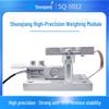 Shunqiang Weighing Module & Reactor Sensor for Batching & Check Weighing