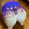 Glittering Corgy Party Belly Dance Skirt Sparkling Sequined Belly Dancing Costume Adjustable Belly Dance Dog Costume