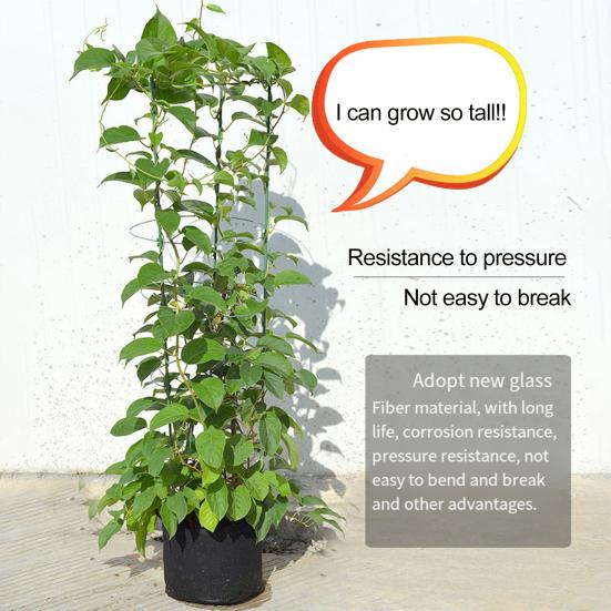 Plant Support Stand with Adjustable Rings Stable Construction Non-Fading Simple Installation Climbing Plants