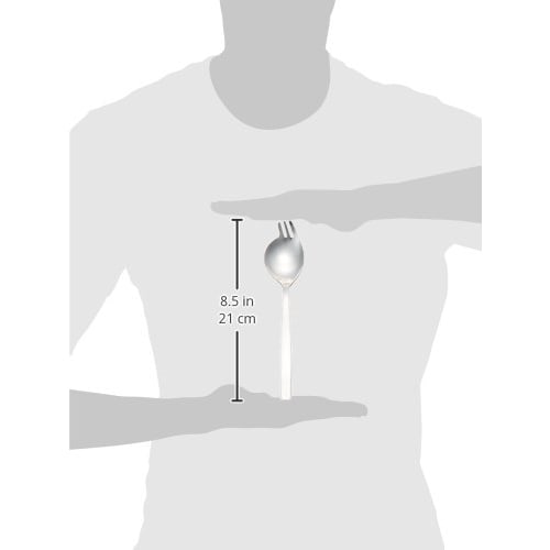 TMG Supply Stainless Steel Ramen Spoon (Mirror Finish) Silver