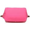 Longchamp Le Pliage 28 Button Zipper Closure Long Handle Leather Dumpling Shoulder Tote Bag Small Women handbags Pink 2605089P73