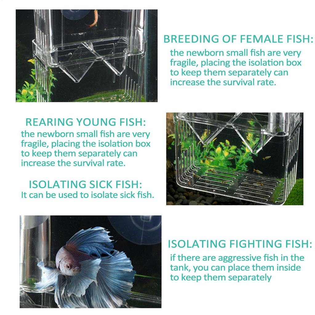 Aquarium Hatchery Acrylic Isolation Box Breeding Box Spawning Device Incubator Tank  Fish Tank Divider for Baby Fishes Shrimp