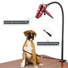 Haustier Hund Pflege Tisch Haar Trockner Stand Halter Feste Katze Pflege Trockner Unterstützung Pet Pflege Zubehör Hände-freies Trockner tisch Auf