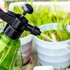 Plant Flower Watering Pot Spray Pot Garden  Sprayer Hairdressing Bottle