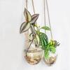 Transparent Hydroponic Hanging Vase Glass Flower Arrangement Bottle Flower Pot  Living Room