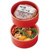 Skater Bento Box Pocket Monster Monster Ball 500ml 2 Tiers Round Antibacterial Made in Japan ONWR1AG-A