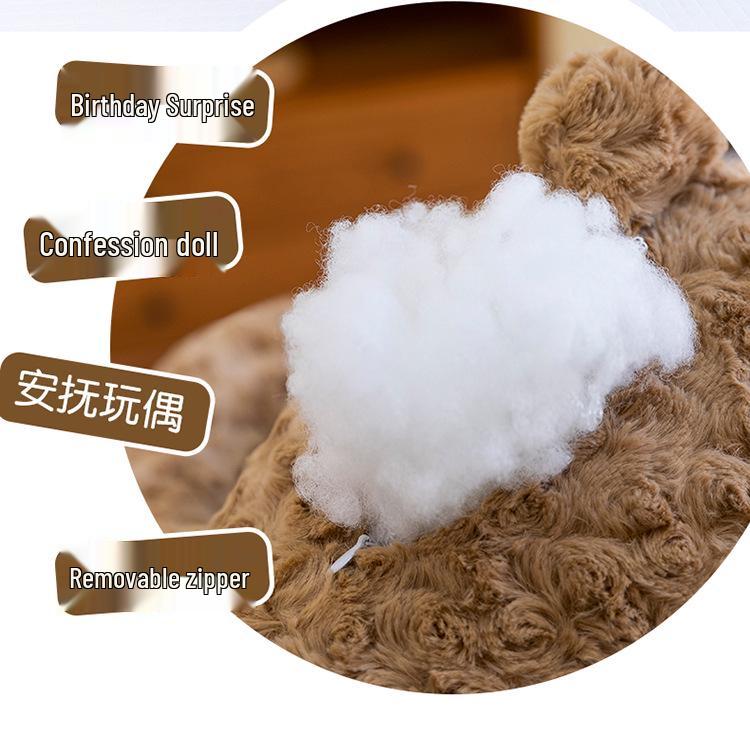 Little Bear Series Plush Toy: Teddy Bear Hugging Doll & Kids' Sleep Pillow