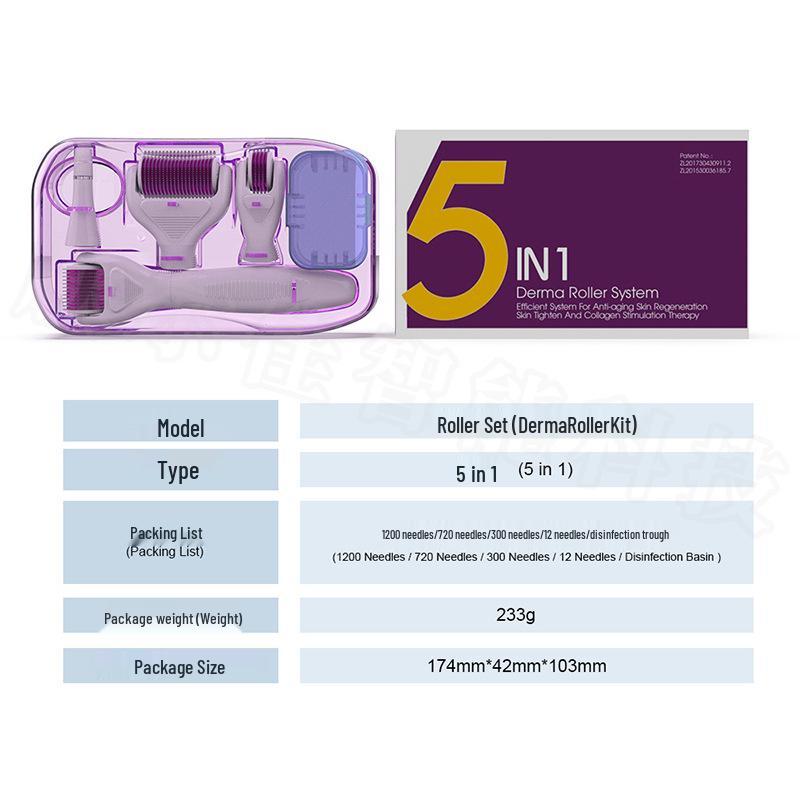 DRS 4-in-1 Microneedle Roller Set: Multifunctional Facial Care and Beauty Tool