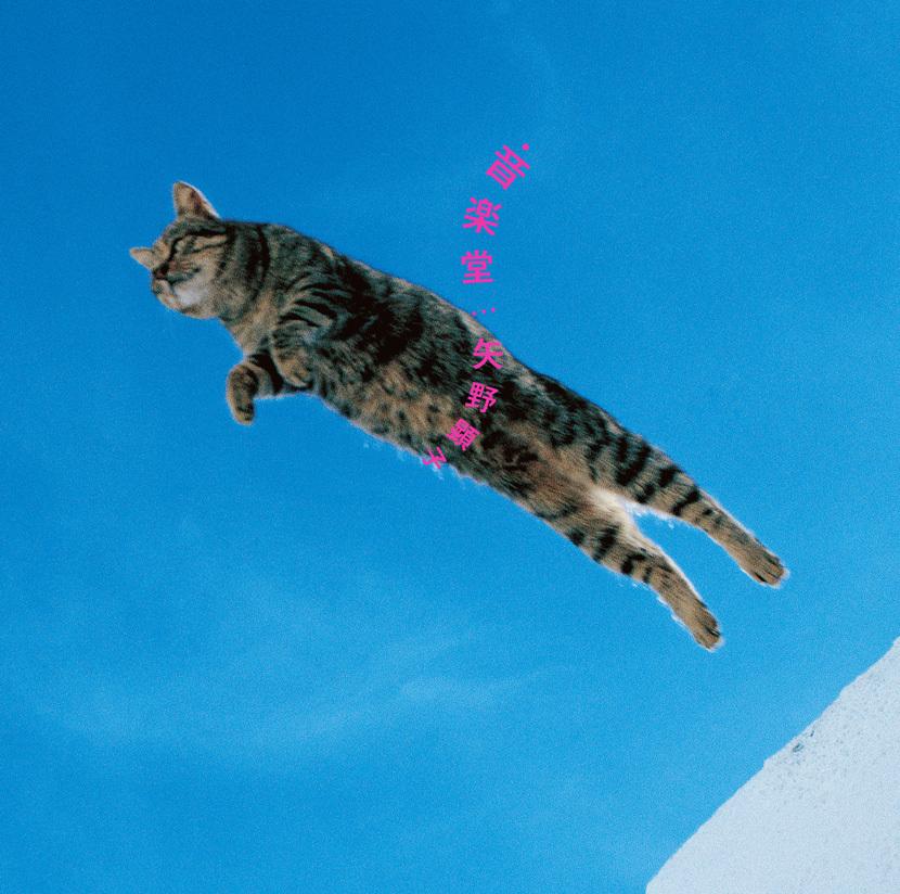 

LP Record AKIKO YANO Ongakudo YCJW10004 YAMAHA MUSIC C 2015 Japan Japanese PopRock