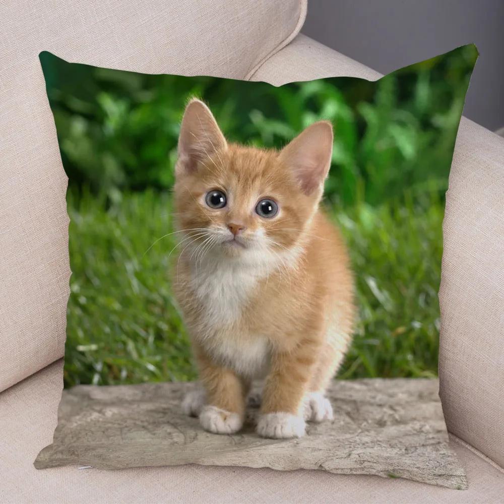 Cute Pet Animal Print Pillowcase Funny  Cat  Decoration Car Sofa Home Cushion Cover