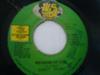 7-Zoll-Schallplatte LEROY SMART Meaning Of Life NONE WWS Records 1990 Jamaika Reggae Ska Dub Gebraucht