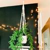 Flowerpot Plant Holder Hand-knitted Cotton Rope Wall Hanging Flowerpot Holder Basket