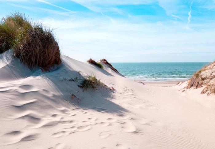 Photomural The Way To The Sea Iq-1209-A Non-Woven 368x280