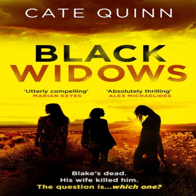 Black Widows by Cate Quinn Paperback Book 9781409196976