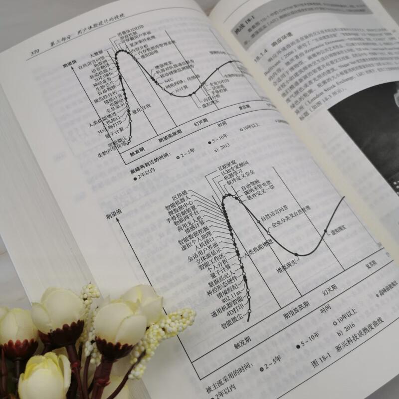 Conception de l'expérience utilisateur: IHM, Expérience Utilisateur et Design d'Interaction