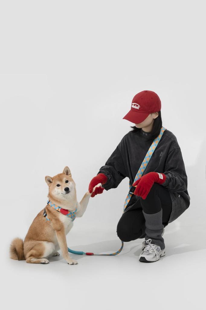 HiDREAM Vivid PRO Series Dog Tracheal Protection Harness SUNRISE S X-Type