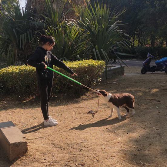 1 Set Dog Stick Rod Bite Toy Extendable Grip Dogs Resistant Comfortable IQ Training Braided Cotton Rope Dog Interactive