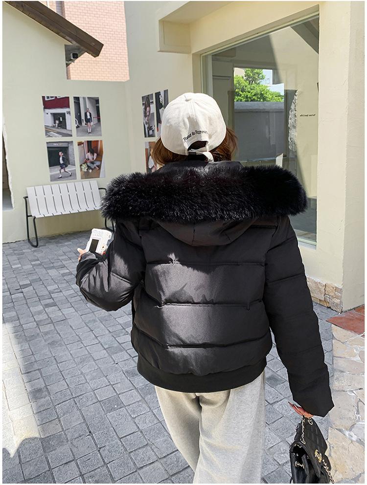Women’s Short Big Fur Collar Hooded Windproof Thicken Warm Winter Jacket