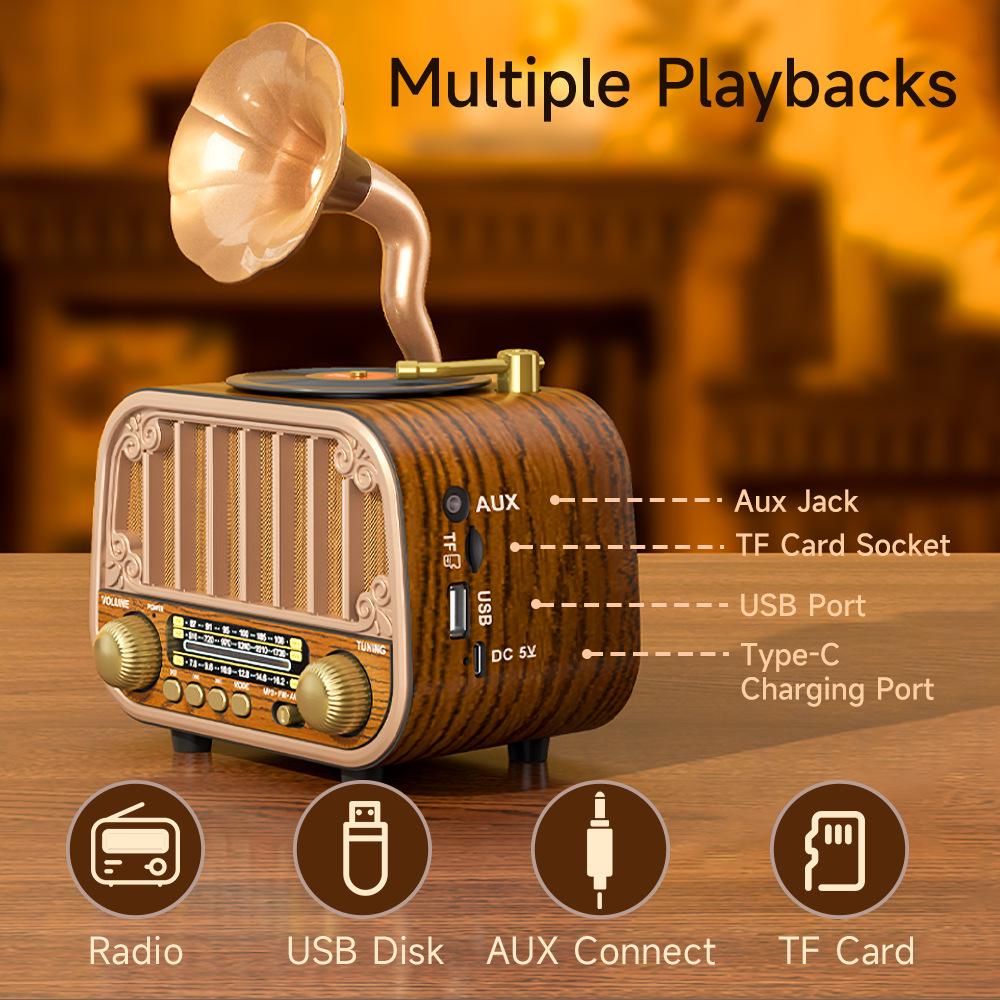Retro Multi-Band Gramophone-Style Bluetooth Speaker with FM/AM/SW Radio.