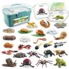 Realistic Animal Growth Cycle Storage Box Set With Mosquito Spider Ladybug Frog Worm Snail Models In Pink And Blue