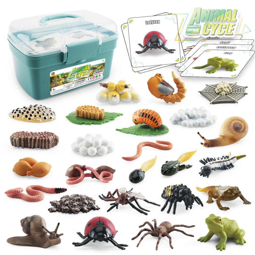 Realistic Animal Growth Cycle Storage Box Set With Mosquito Spider Ladybug Frog Worm Snail Models In Pink And Blue