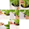 13Pcs Planting Tool Set Mini Garden Tool For Succulents Planting Hand Tools