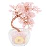 Feng Shui Money Tree Positive Energy Good Fortune Money Tree Decoration for Wealth and Luck Home