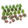 70-Piece Set of Diorama Trees, Model Trees, Tree Models, Railway Models, Architectural Model Materials, Miniature Scenery Collection, Tree Landscape M