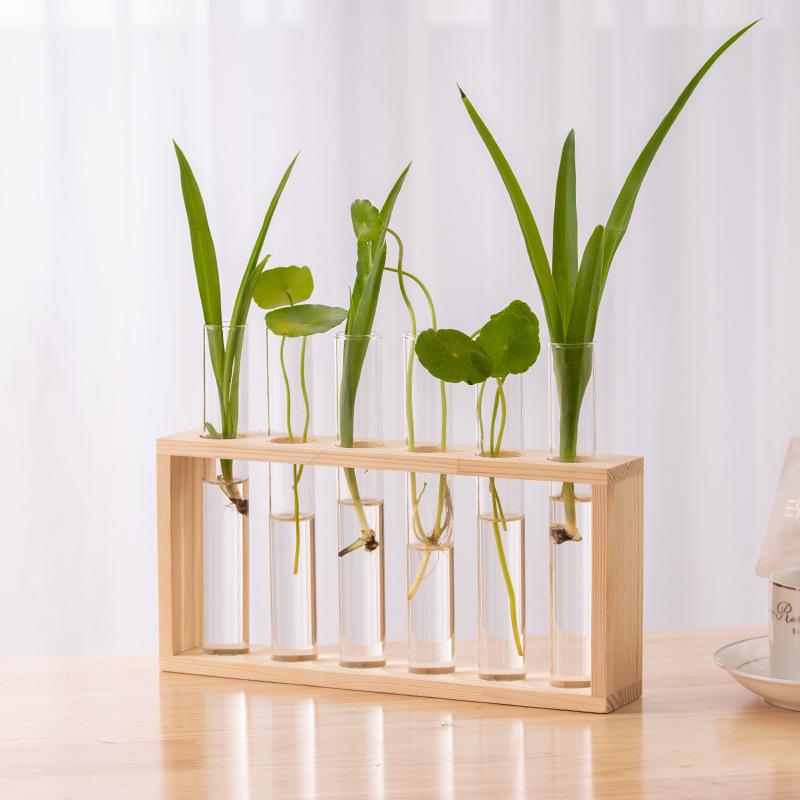 Creative Wooden Hydroponic Shelf Vase: Hanging Glass Ornament for Plant Decoration