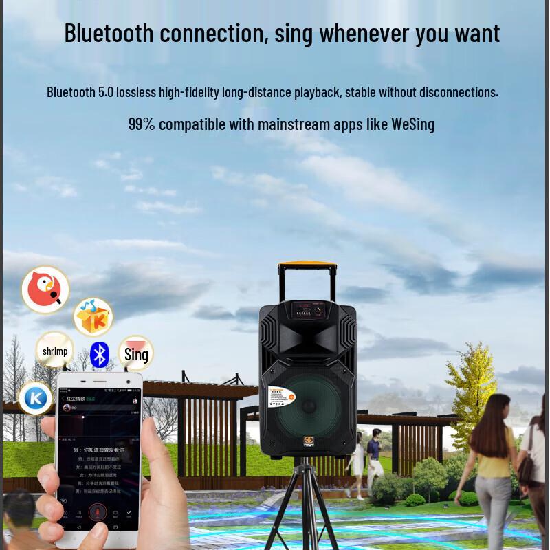 Songchuan International SS1 15-inch Outdoor Trolley Speaker CN plug (adapter included)