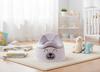 Non-slip Potty for Children with Removable Insert Stable Bear Stickers Gray White Sun Baby