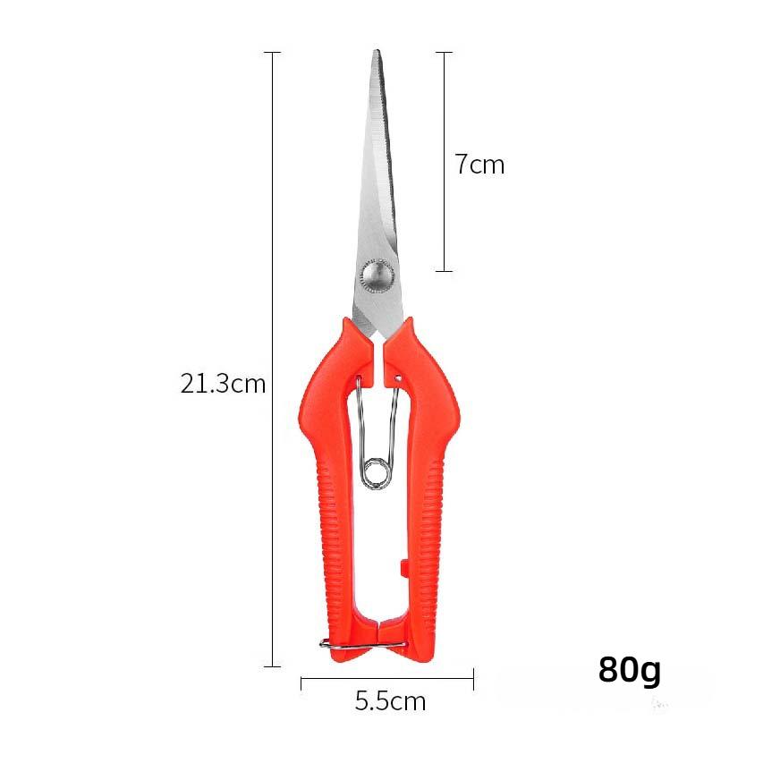 Stainless Steel Fruit Harvesting Shears Pruning Scissors for Orchards Branches Bonsai & Vegetable Fruit Thinning