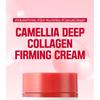 ROUND LAB - Camellia Deep Collagen Firming Cream
