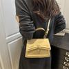 Handbag Bag Women's New Solid Color Texture Handbag Commuting Simple Messenger Small Square Bag