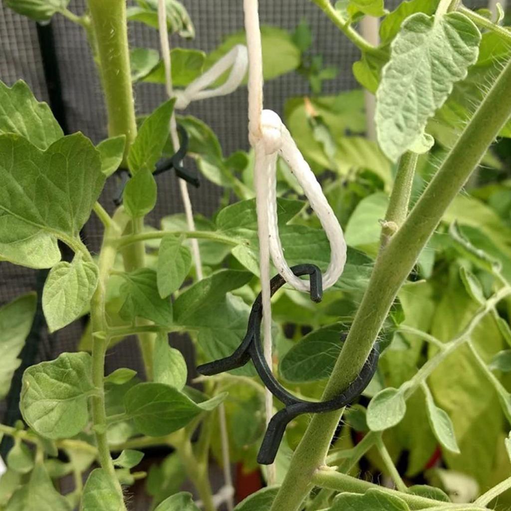 100/200pcs Plant Clips 3 Size Clips for Attaching Plants Garden Clamp Plant Support Clamp Climbing Plant Clip Plant Clip