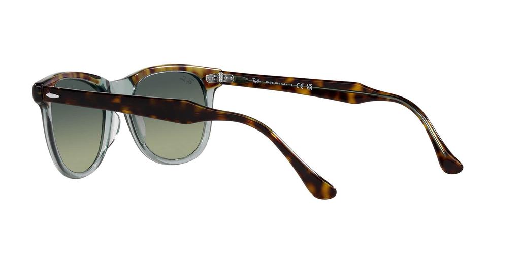 Ray-Ban Sunglasses EAGLEEYE RB2398F 53mm Havana On Transparent Green 1294GJ