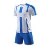 DIY Benutzerdefinierte Herren Kinder Fußballtrikot Anzug Schnelltrocknend Atmungsaktiv Club Schule Fußballmannschaft Trainingsuniformen 2-teilige Sportbekleidung 2023