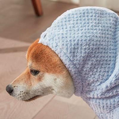 Köpek – Köpekler için Havlular