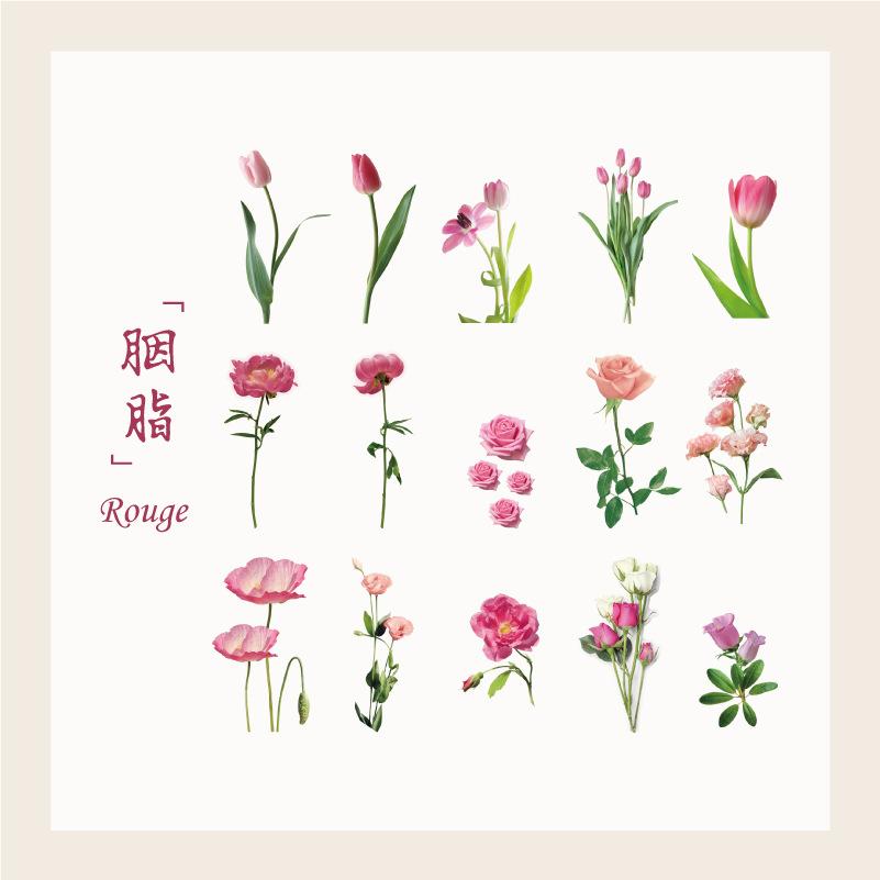 15 pcs Plant and flower PET sticker package Butterfly material sticker hand-decorated hand ledger sticker Junk Journal Supplies