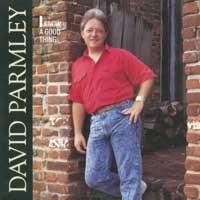 

LP Record DAVID PARMLEY - I Know A Good Thing SH3777 Sugar Hill Reco 1989 US Rock Used