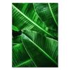 Painting 5d Green Diy Diamond Plants Cross Stitch Kit Full Square Embroidery Mosaic Art Picture Of Rhinestones Home Decor Gift