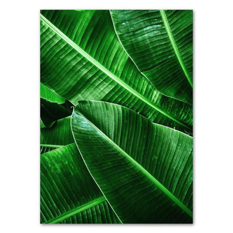 

5D Diy алмазная живопись зеленые растения комплект для вышивки крестом полная квадратная вышивка мозаика художественная картина из страз домашний декор подарок Full Round 20x30CM