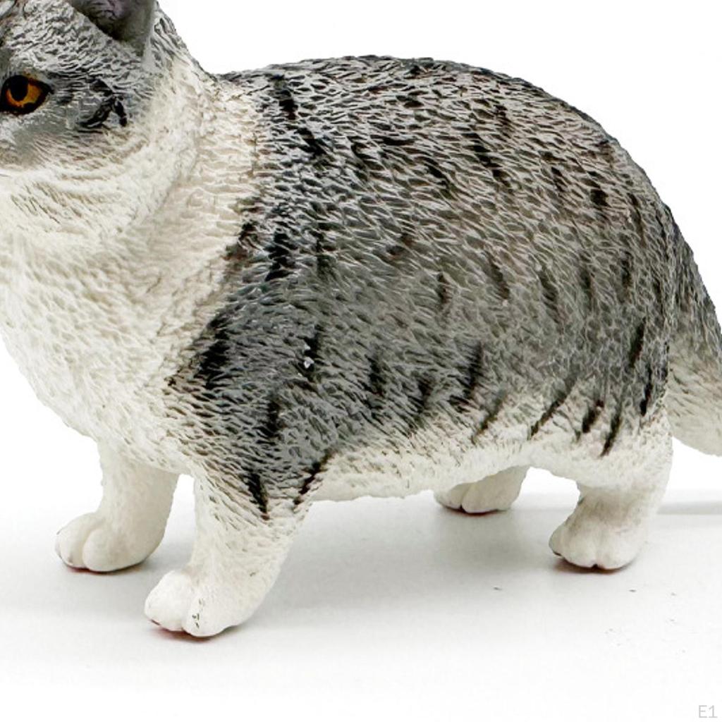 Cat Model Figurine Short Hair Cognitive Cartoon Animal Miniature Kitty Figures