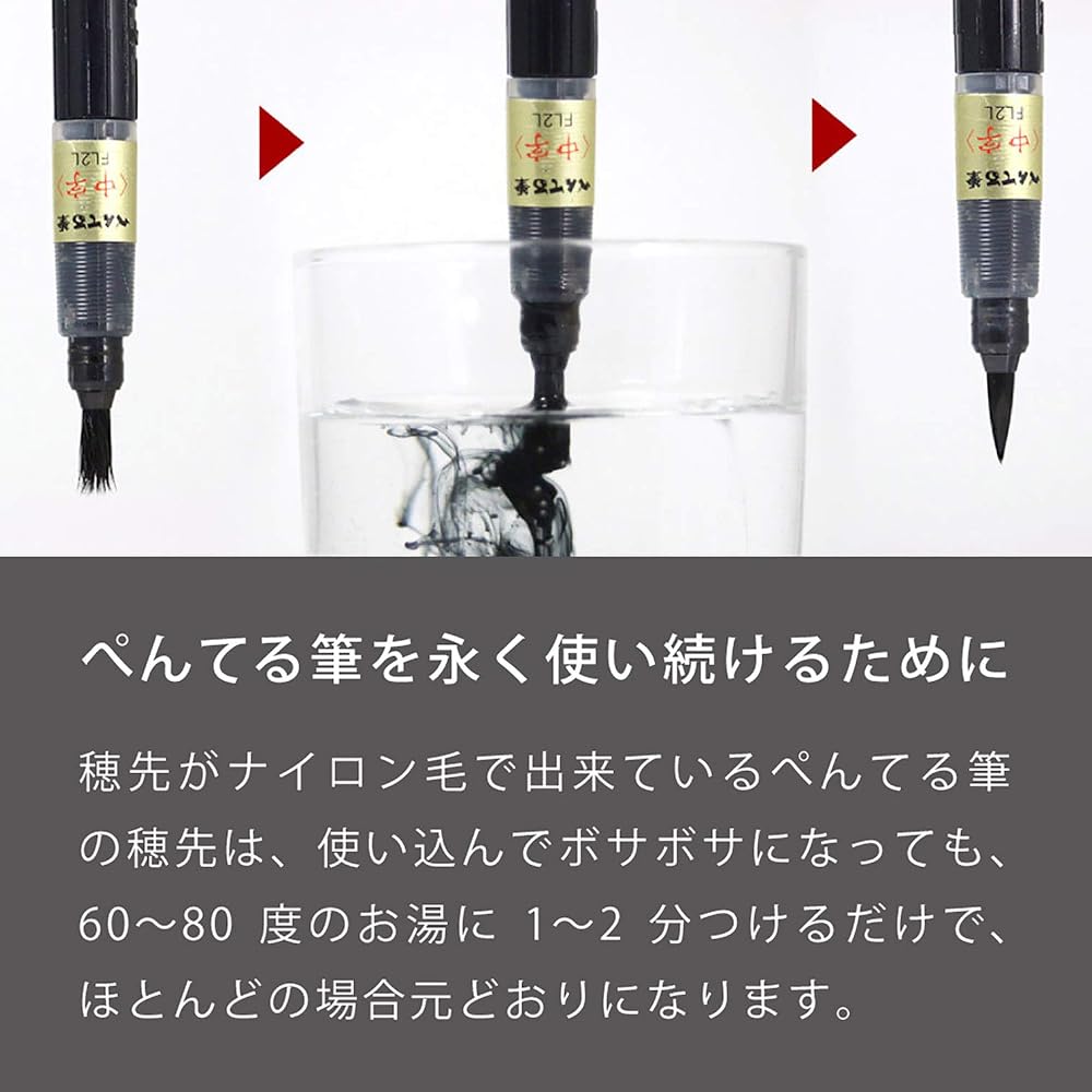 Pentel Brush Pen Pentel Brush XFP5M Medium Black