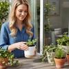Cactus Garden Supply Succulent Plants Self Watering Flower Pot With Drainage Hole Orchid Pots Flower Containers Indoor