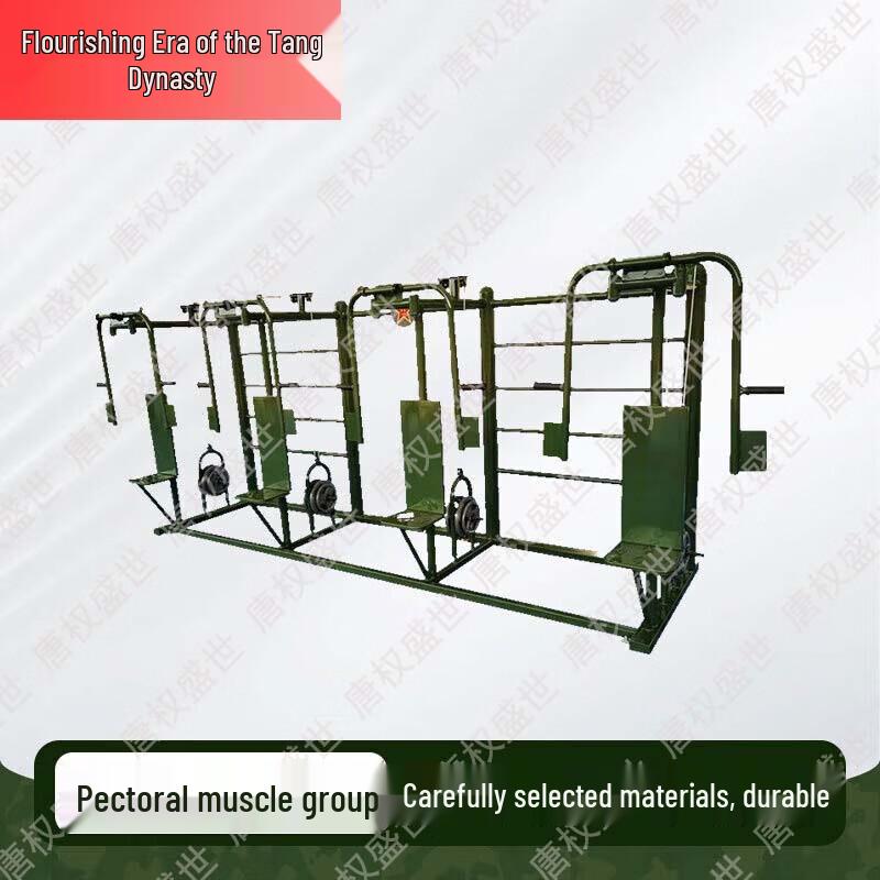 Outdoor Chest Press Combo Trainer
