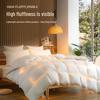 100% White Duck Feather Thick Warm Duvet Insert